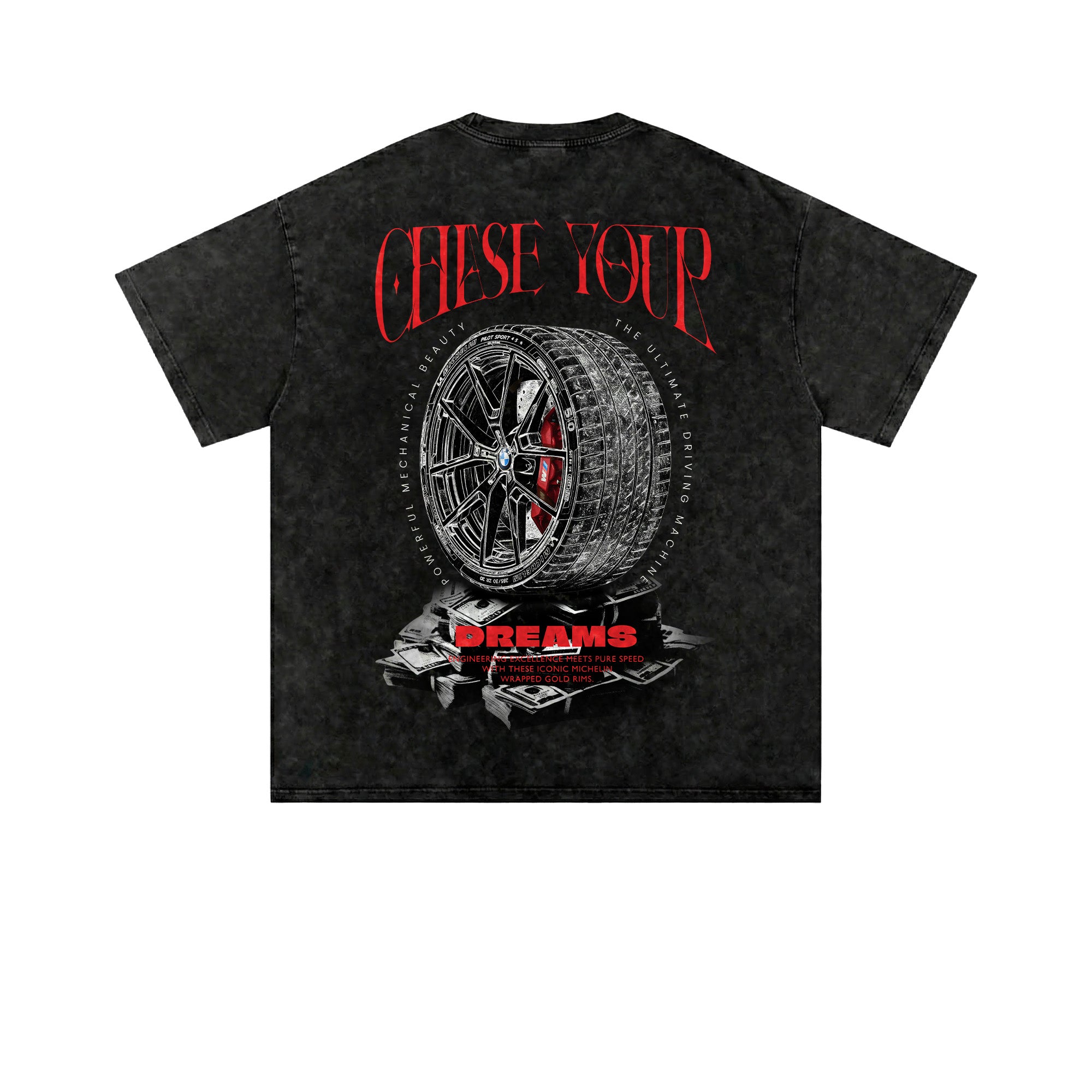 Chase Your Dreams Graphic Mineral Washed